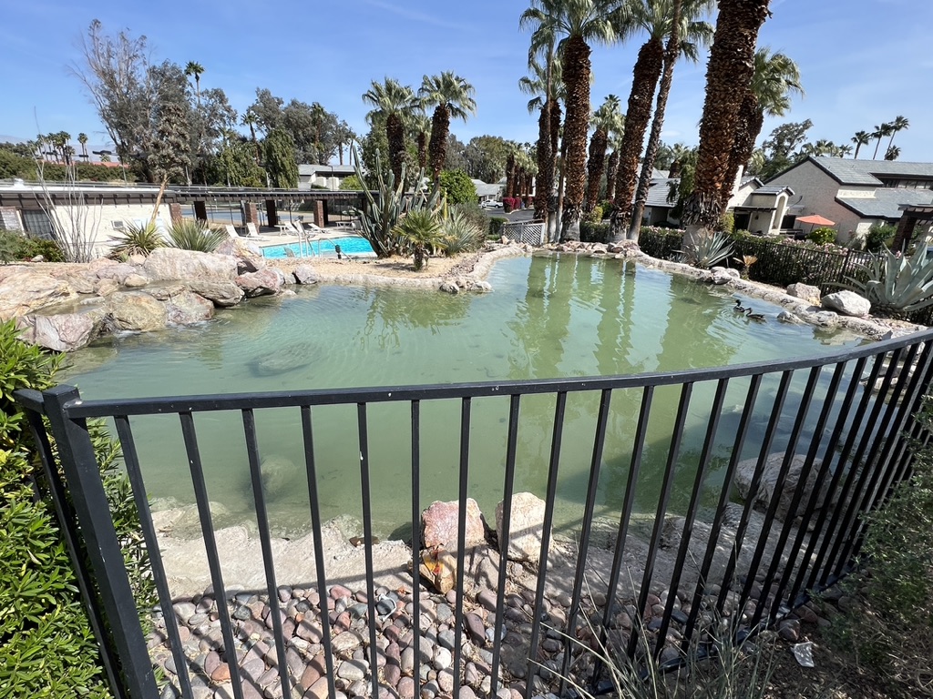tennis tourist lost pueblos palm springs california pond fence