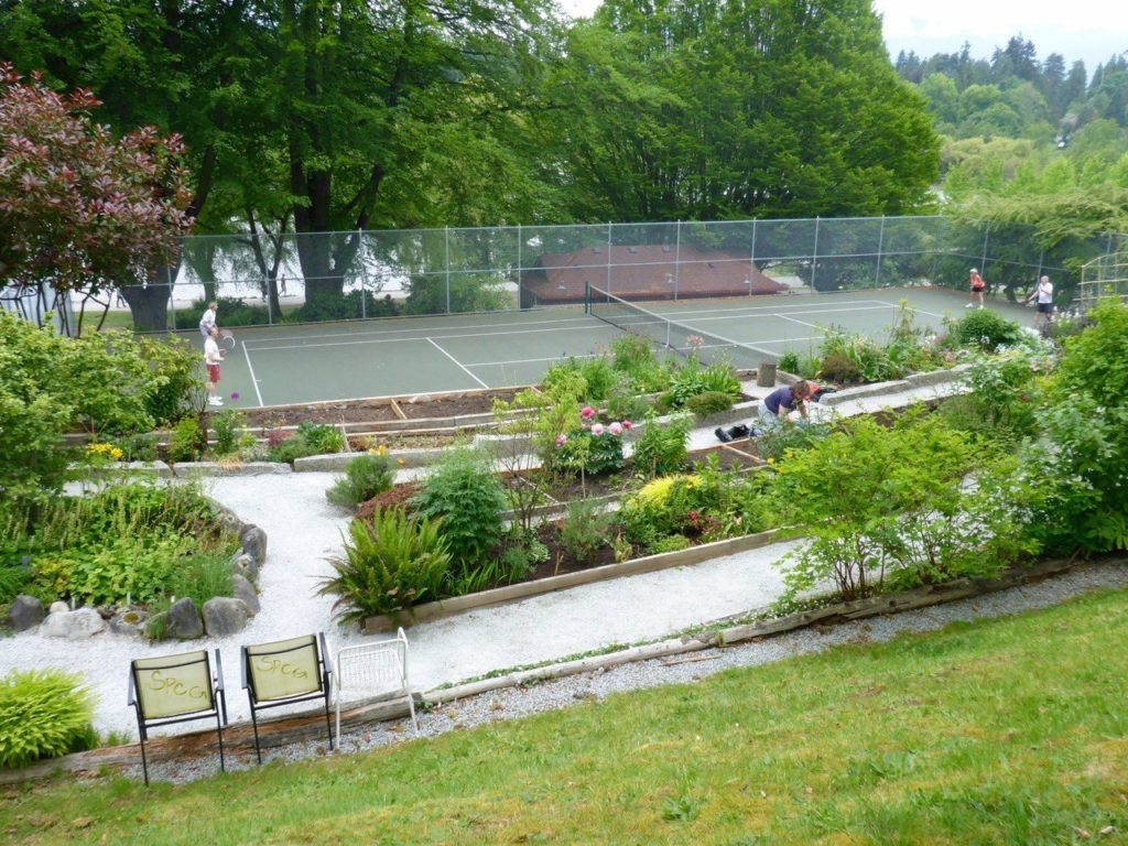 tennis-tourist-stanley-park-lost-lagoon-tennis-courts-vancouver-