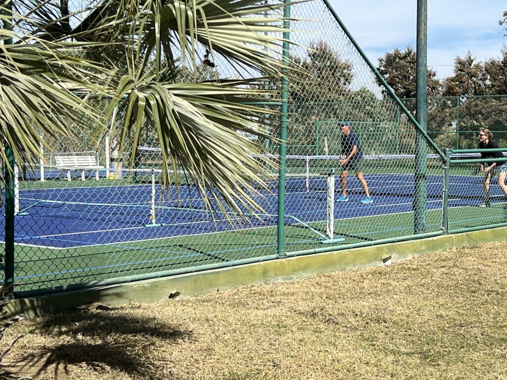 tennis tourist club la huerta san jose del cabo mexico courts palm trees fence
